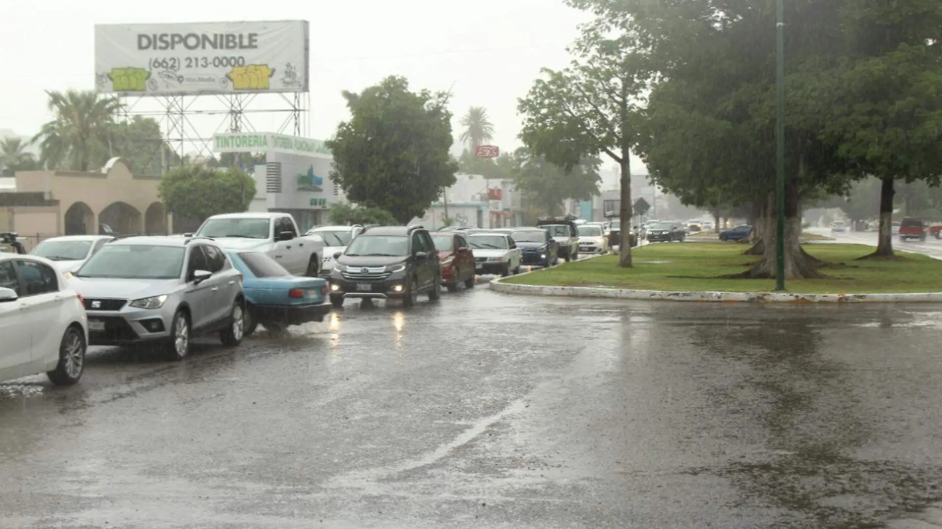 Personas bajo la lluvia  (2)